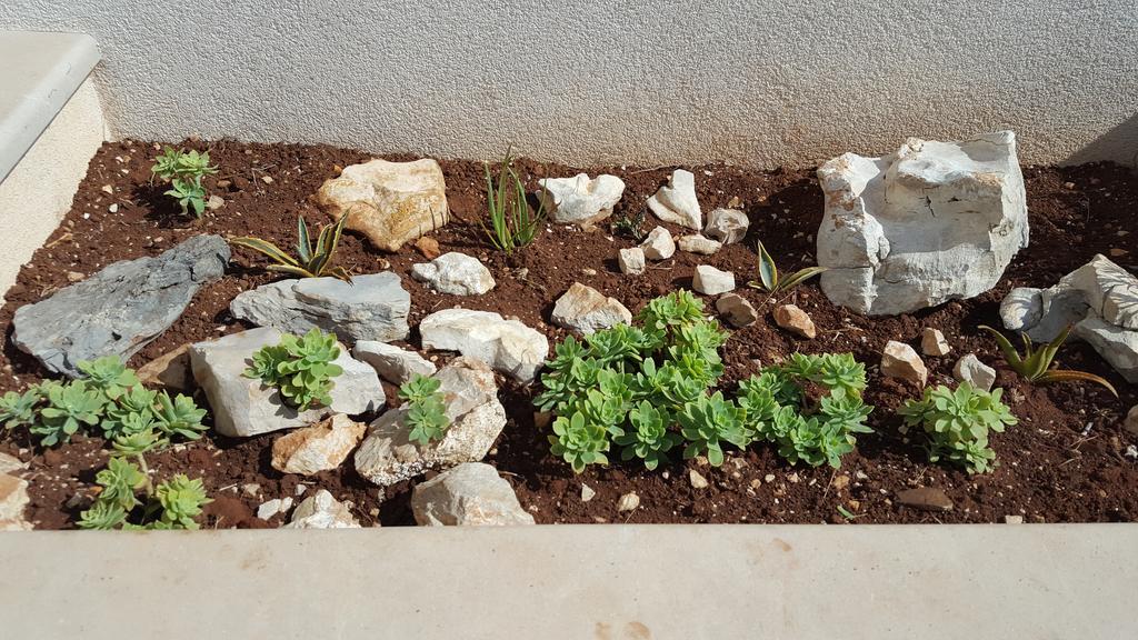 Apartmani Mariela Maslinica Bagian luar foto